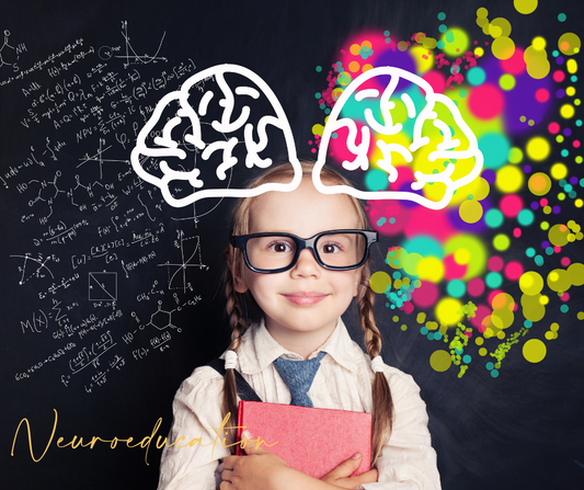 Neuroeducation: Paving the Way for Inclusion and Excellence in Neurodiverse Classrooms